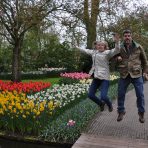  Keukenhof Tulips, Netherlands